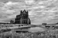 Whitby Abbey