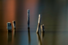 Light on Five Bollards in the Water