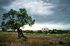 Puglia Landscape