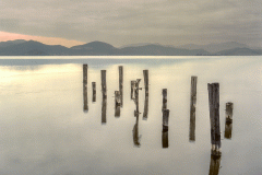 Torre del Lago Puccini Old Pier (Film)