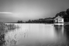 Torre del Lago-Puccini Evening (Film)