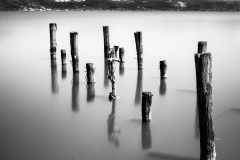 Old Pier Torre del Lago (Film)