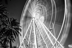 Wheel (Film)