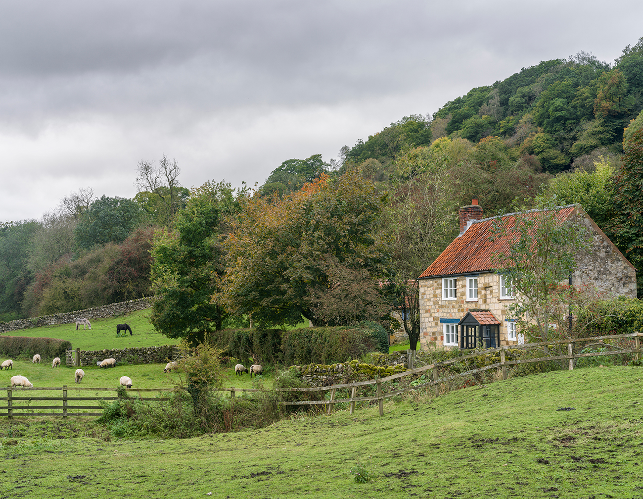 Image of Yorkshire Country