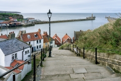 Whitby View