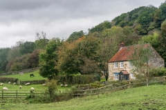 Image of Yorkshire Country