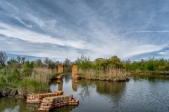 Ruines in Delta Po River