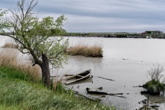 Delta Po River Landscape