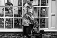 Two Dogs and Old Woman
