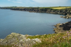 Penbrokenshire Coast