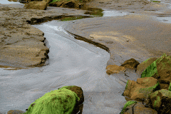 Widemouth Bay Particular