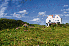 The House