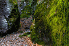 The Stair