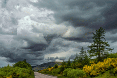 CLoudy Day on the Road