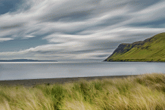 The Still Bay
