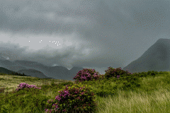 Colors in the Etive Valley