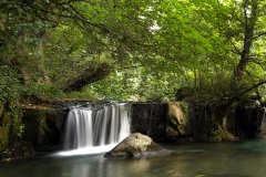 Treja River